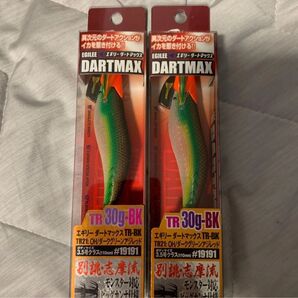 エギリー ダートマックスTR30