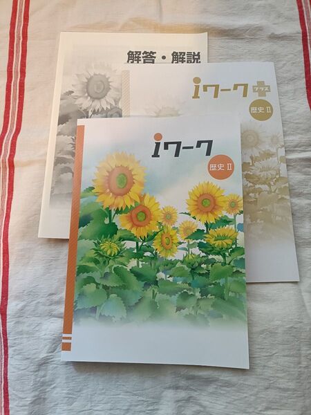 【中学問題集】 iワーク アイワーク 歴史Ⅱ iワークプラス 解答・解説 授業対策 定期テスト対策
