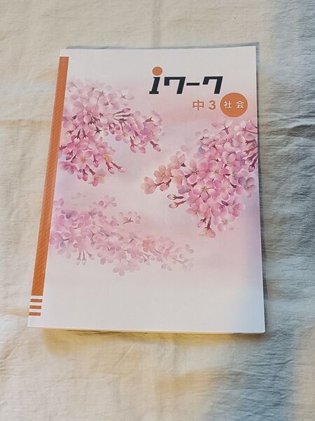【中学問題集】 iワーク アイワーク 中3社会 iワークプラス 解答・解説 授業対策 定期テスト対策