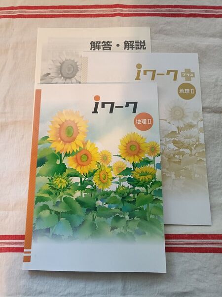 【中学問題集】 iワーク アイワーク 地理Ⅱ iワークプラス 解答・解説 授業対策 定期テスト対策