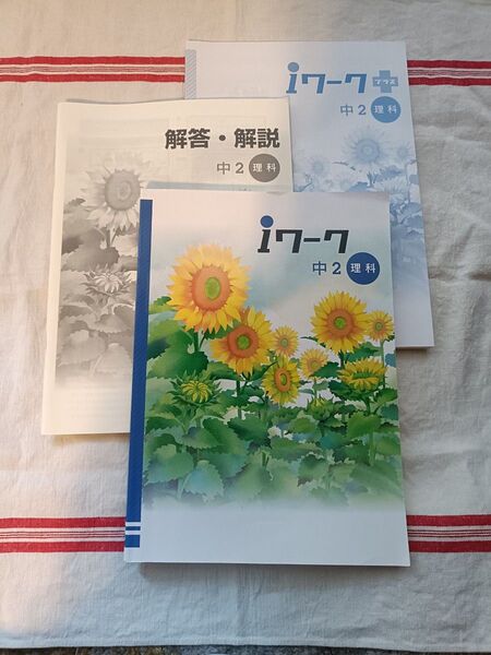 【中学問題集】 iワーク アイワーク 中2理科 iワークプラス 解答・解説 授業対策 定期テスト対策
