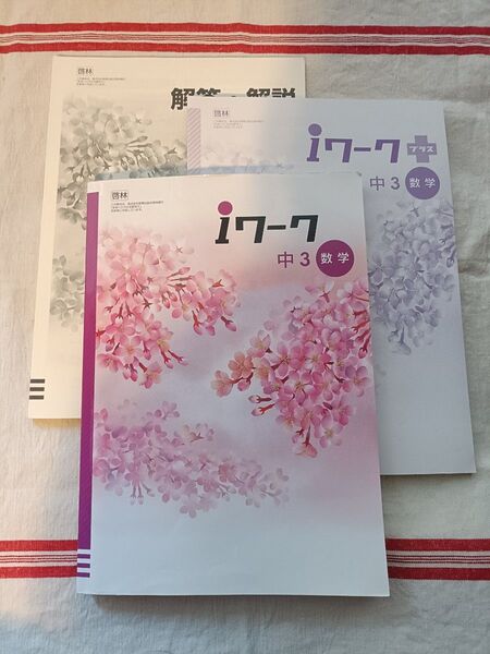 【中学問題集】 iワーク アイワーク 中3数学 iワークプラス 解答・解説 授業対策 定期テスト対策