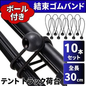 ゴムバンド 10本 軽トラ 荷物固定 荷台シート 荷締めベルト ラッシング紐 アウトドア テント タープ ペグ 結束ロープ トラッ