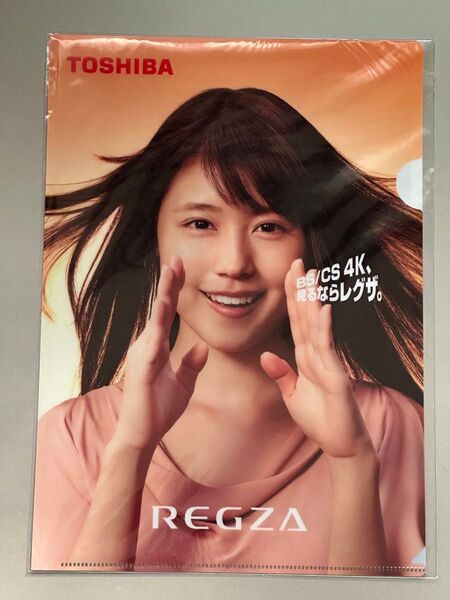 ☆希少♪ 新品未使用 REGUZA レグザ 有村架純 クリアファイル