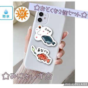 【ドンチャック様】【ミニ2個セット】釣り好きステッカー☆