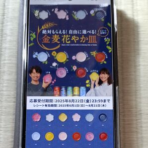 96点 サントリー金麦 絶対もらえる 花やか皿 キャンペーン レシート懸賞