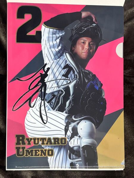 阪神タイガース クリアファイル(梅野選手)