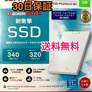 外付けポータブル SSDで高速化★250GB TypeA★Win/Mac/PS5/PS4★バッファローSSD-PG250U3-WC