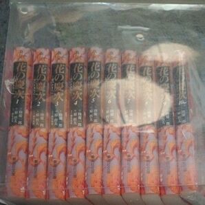 花の慶次 文庫版 完結 10冊セット 集英社 原哲夫 北斗の拳 パチンコ パチスロ いくさの子 蒼天の拳 全巻セット