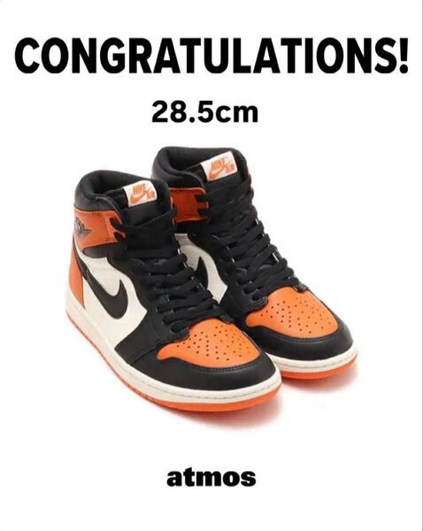 Nike Air Jordan 1 Retro High OG "Shattered Backboard" 28.5