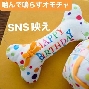 【新品未使用】犬用 誕生日グッズ バースデー 骨形 SNS 写真 記念日 音の鳴るオモチャ プレゼント