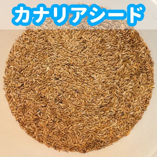 カナリアシード(鳥の餌、インコの餌)800g