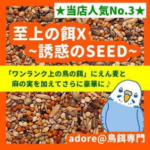 【3番人気商品】至上の餌Xー誘惑のSEEDー 800g(鳥の餌)