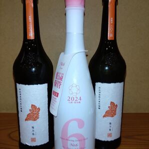 3本セット 新政酒造 陽乃島No.6 typeX