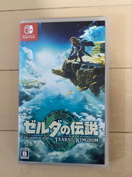 ゼルダの伝説 ティアーズ オブ ザ キングダム