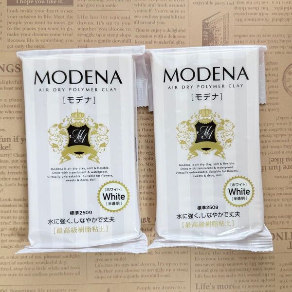 【2パック】パジコ 樹脂粘土 モデナホワイト 250g 白