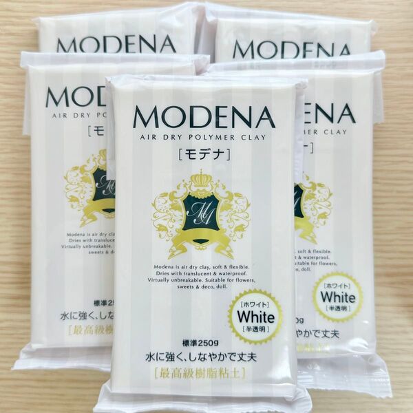 【5個セット】パジコ 樹脂粘土 モデナホワイト 250g 日本製