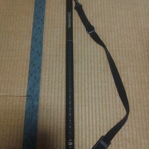 DAIWA ランディングポール2 60