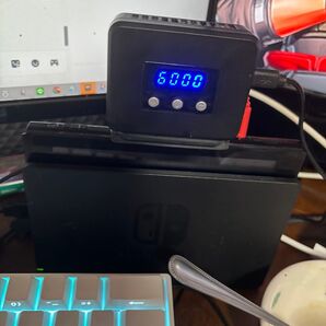任天堂Switch じゅすな様専用