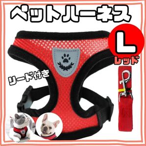 犬用メッシュハーネス Lサイズ ・レッド・赤 ベストタイプ リード付 通気性 犬 猫 ペット 軽量 肉球マーク かわいい