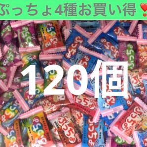 ぷっちょ個包装4種120個