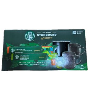 新品未使用 スターバックス マグカップ2個セット