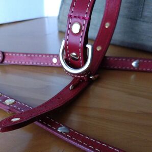 中型~大型犬 首輪+ リード 本革 新品・未使用