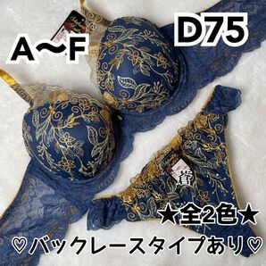 蒼D75★蒼A~F★スタイリッシュボタニカルブラTバックセット★蒼ネイビー★蒼Tバック★蒼~F80★蒼~E65★蒼ランジェリー