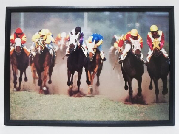 競馬.タケホープ.パネル.JRA-60th