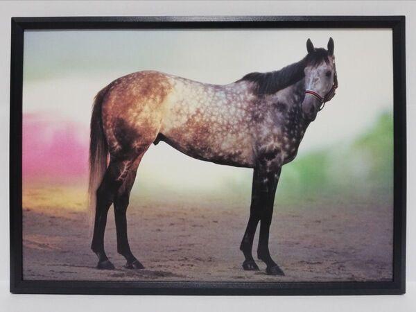 競馬.メジロマックイーン.パネル.サラブレッド讃歌