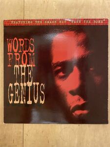 GZA WU-TANG CLAN になる前のLP THE GENIUS名義　Words from the Genius ウータン　Cold Chillin'