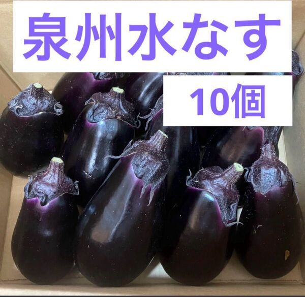 大阪泉州水なす 水茄子 約1.5kg