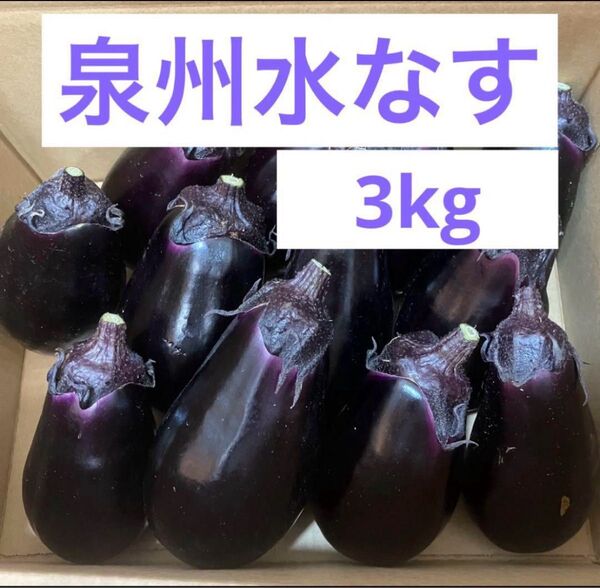 大阪泉州水なす 水茄子 約3kg