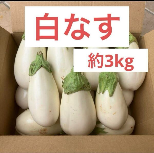 とろ〜り旨ナス 白なす 白ナス B級品 3kg