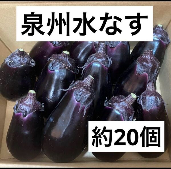 大阪泉州水なす 水茄子 約20個