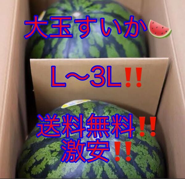スイカ L 2L 3Lサイズ 2玉 約12kg箱込み すいか 激安 お買い得