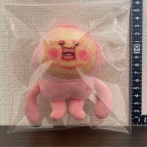 【入手困難】こびとづかん カクレモモジリ ぬいぐるみ 2点以上の購入は値引きします