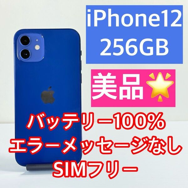美品 iPhone12 256GB バッテリー100% 新品スマホケース/フィルム付き エラーメッセージなし