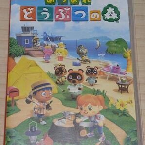 あつまれどうぶつの森 Switch