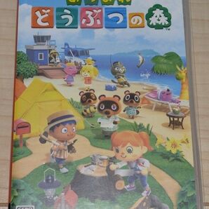 あつまれどうぶつの森 Nintendo Switch