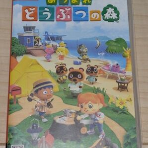 あつまれどうぶつの森 Switch