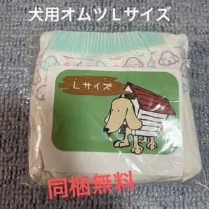 ペット用紙おむつ Lサイズ1枚