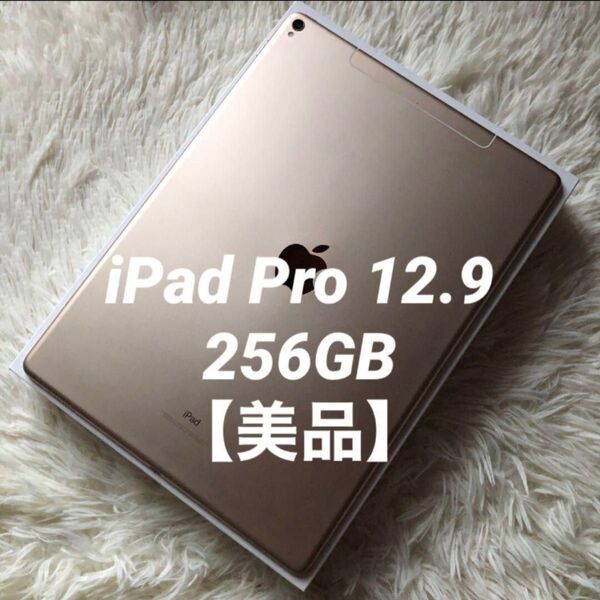 【完動品】iPad Pro 12.9 第2世代 256GB SIMフリー 即発送 タブレット Apple Pro Air mini