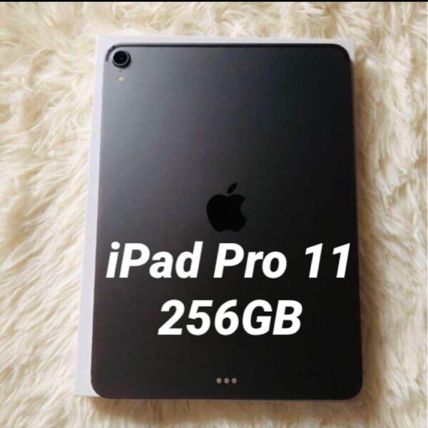【7/25販売終了】iPad Pro 11 256GB 【すぐ発送】 Apple Wi-Fi スペースグレイ Air mini