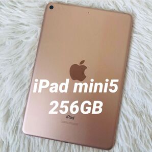【完動品】iPad mini5 256GB Wi-Fi 【すぐ発送】 Apple iPad Wi-Fiモデル ピンク ゴールド