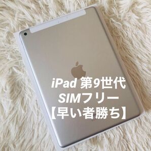 【完動品】iPad 第9世代 64GB SIMフリー【すぐ発送】 Apple Wi-Fi Cellular タブレット シルバー
