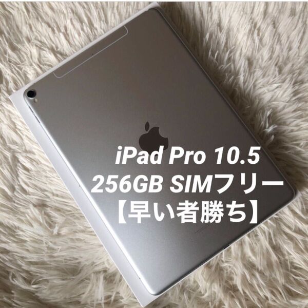 【早い者勝ち】iPad Pro 10.5 256GB SIMフリー【すぐ発送】 Apple Wi-Fi Pro タブレット