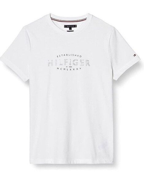 TOMMY HILFIGER トミーヒルフィガー メンズ Tシャツ