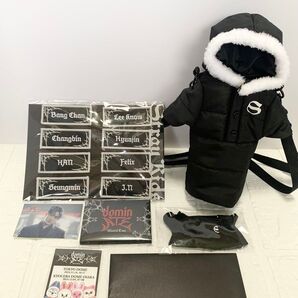 Stray Kids domin ツアーグッズ まとめ売り