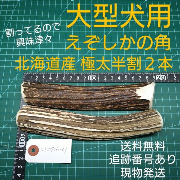 えぞ鹿の角 極太半割2本 大型犬用 250706-01 愛犬のおもちゃ